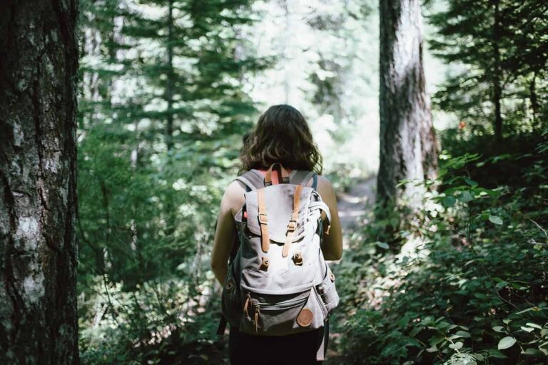 Backpacker Travel Choices in India